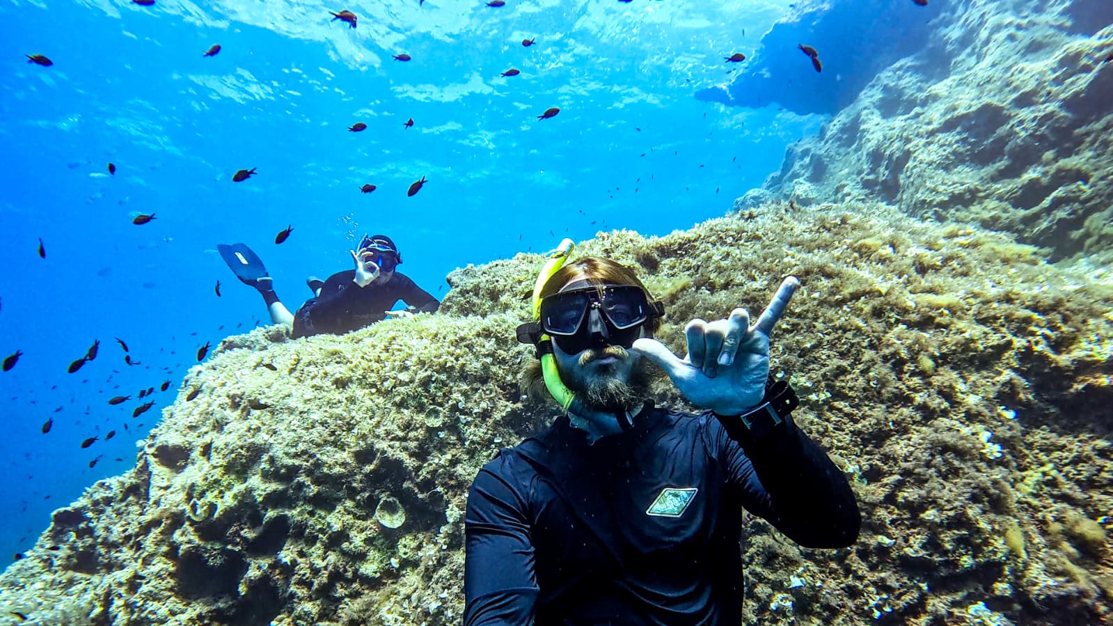 whatsapp image 2026 04 29 at 13.34.41